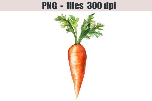 Carrot Watercolor Clipart: Illustrations for Branding