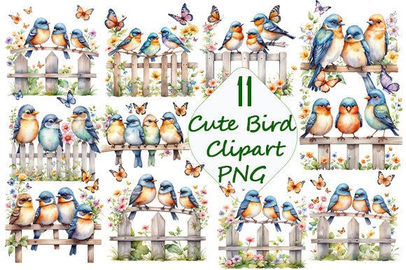 Cute Bird Watercolor Clipart PNG Bundle: Illustrations Review