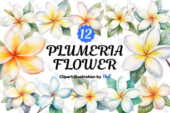 Plumeria Flower Watercolor Bundle: Illustrations for Sales