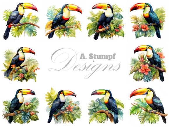 Toucan Watercolor Bird Clipart Bundle Review