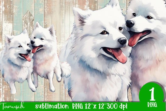 Watercolor American Eskimo PNG in Illustrations