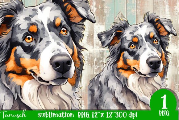 Watercolor Australian Shepherd PNG Illustrations