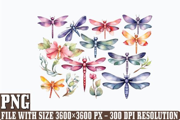 Watercolor Dragonflies PNG Clipart Subli Illustrations