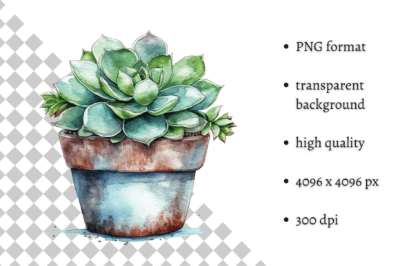 Watercolor Succulent in a Pot Clipart: Editorial Illustrations