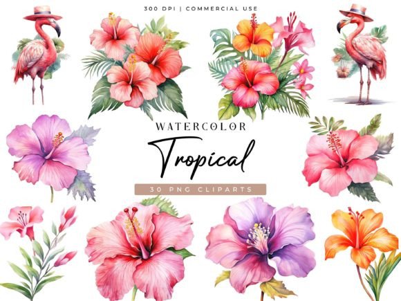 Watercolor Tropical Clipart Bundle: Illustrations Review