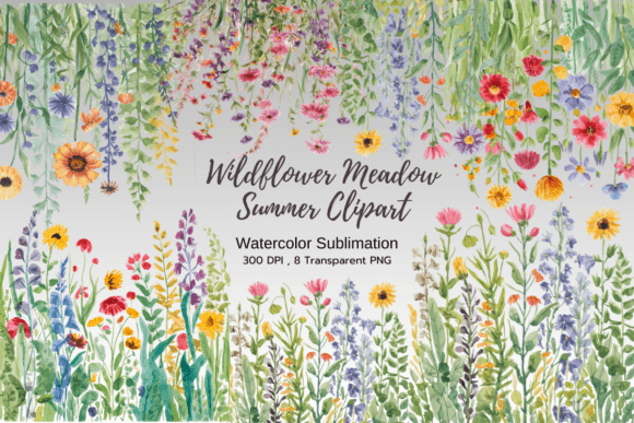 Wildflower Meadow Watercolor Sublimation Illustrations Review